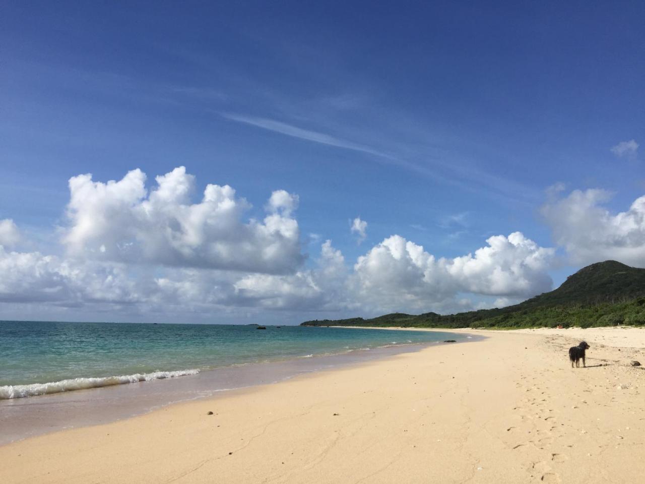 Guest House Annsea Ishigaki  Exterior foto